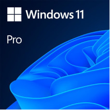 Microsoft Windows 11 Professional 64Bit English Intl 1pk DSP OEI DVD